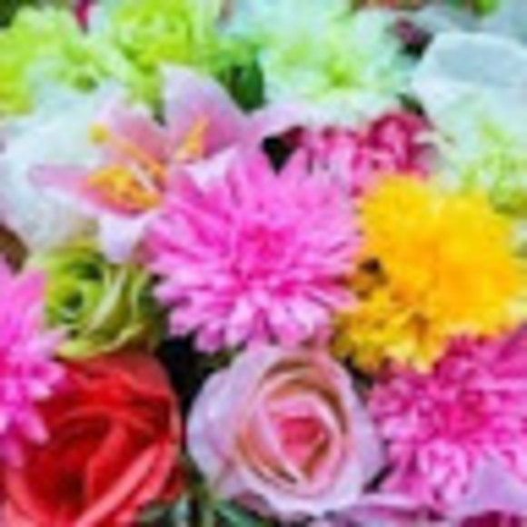 Meet your Posher, Kiera - Picture 1 of 1